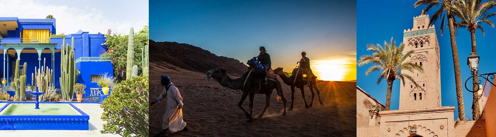 Your guide to everywhere