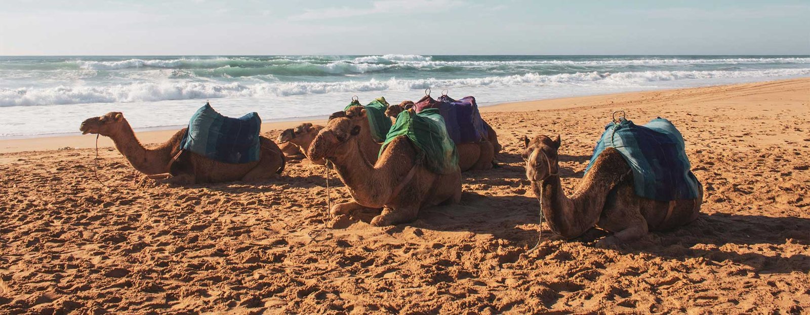 Luxury Tangier Tours